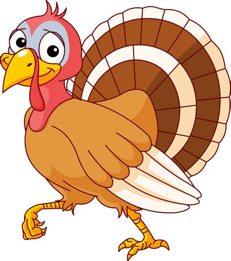 turkey clipart|More.